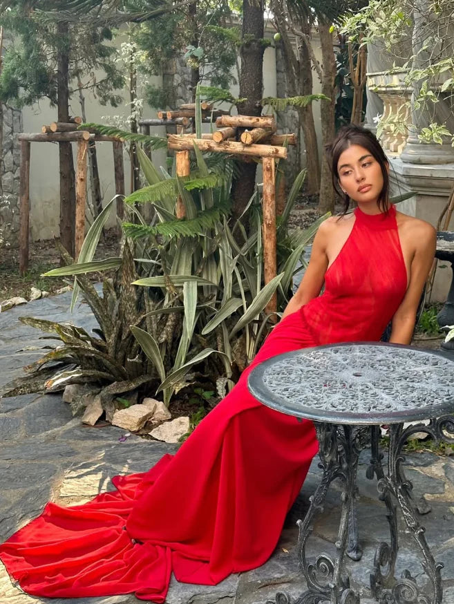 A Line Halter Tulle Chiffon Long Prom Dress Charming Red Evening Dress