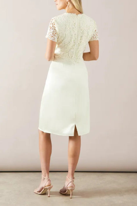 Petite Lace Overlay Pencil Midi Mother Of The Bride Outfits Dress