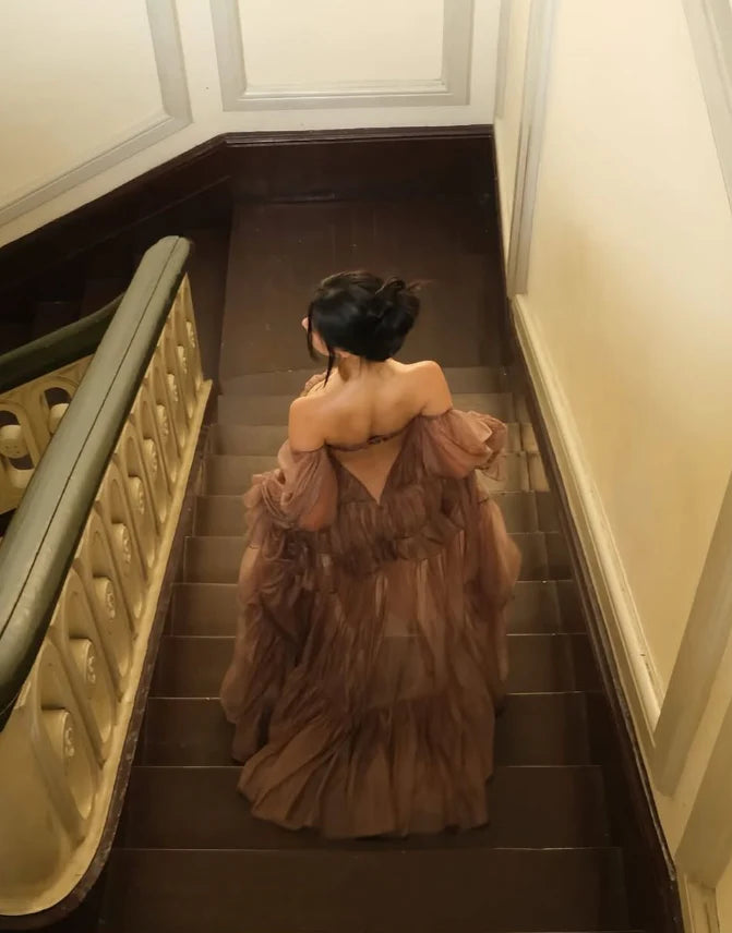 A Line Long Sleeve Satin Long Prom Dress Charming Brown Evening Dress