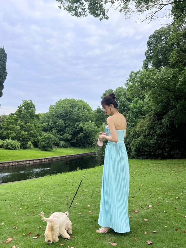 A Line Elegant Blue Chiffon Sweetheart Sleeveless Pleated Long Prom Dresses Party Dress