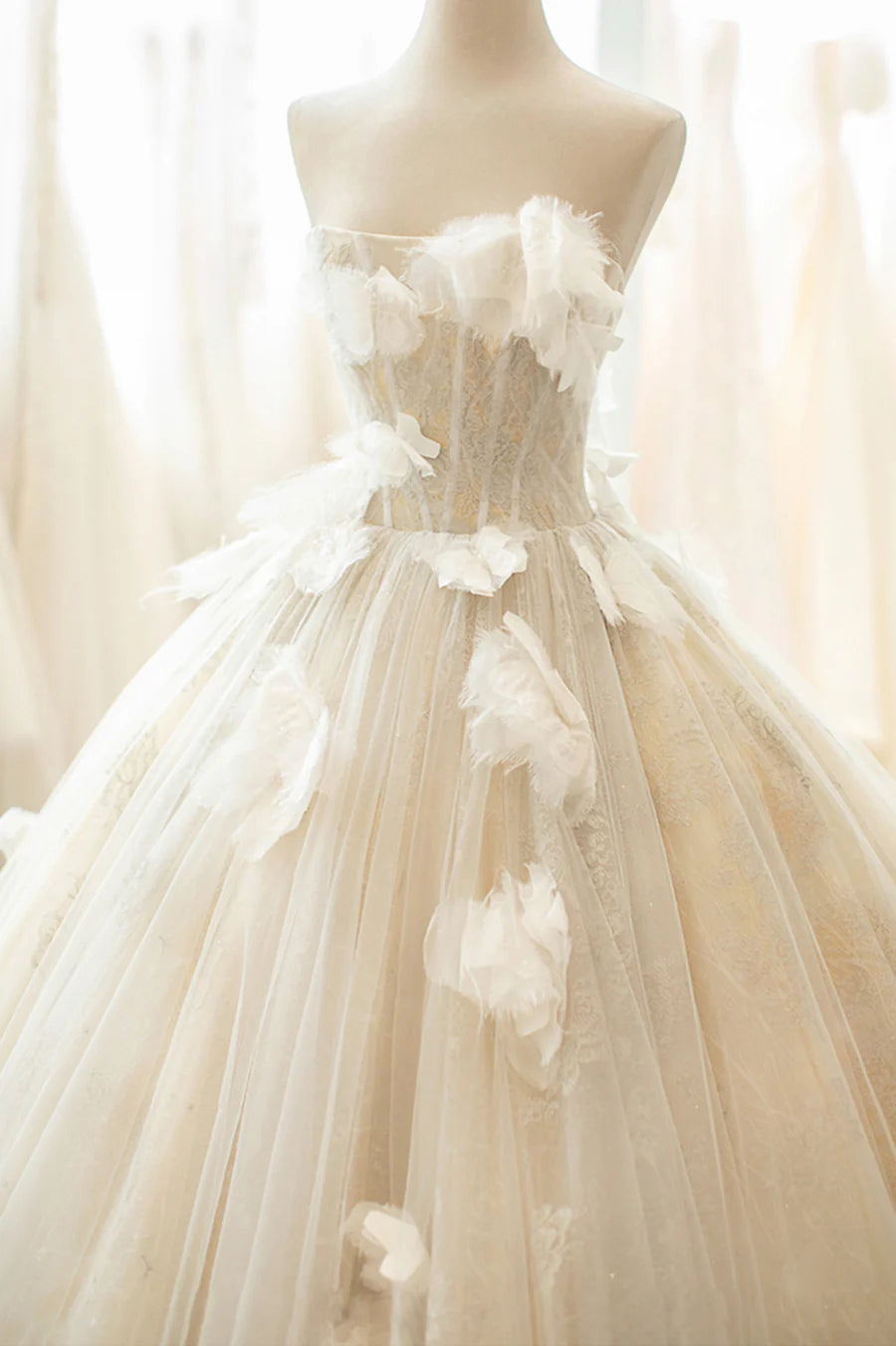 Champagne Tulle Lace Applique A-Line Long Formal Dress Wedding Dress