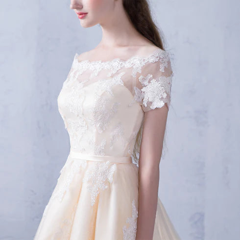 Champagne Tulle with Lace A-line Short Party Dress Homecoming Dress